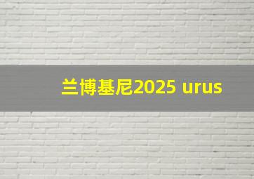 兰博基尼2025 urus